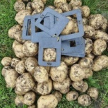 11 сортов картофеля от одного поставщика оптом, Барнаул