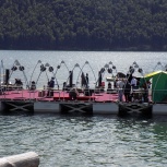 Понтон для ресторана, плавучее кафе., Барнаул